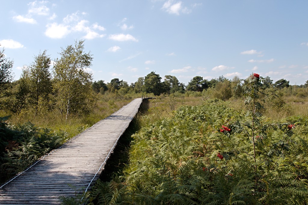 nationaal park de groote peel grote natuurgebied natuur hdr brabant limburg staatsbosbeheer turf veen heide hei bos bossen